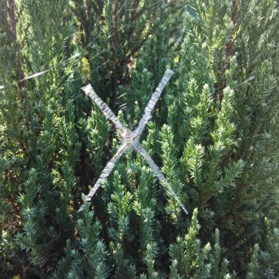 ramneek_ram's profile picture. 