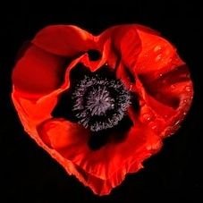 StrawberryMoonz's profile picture. 