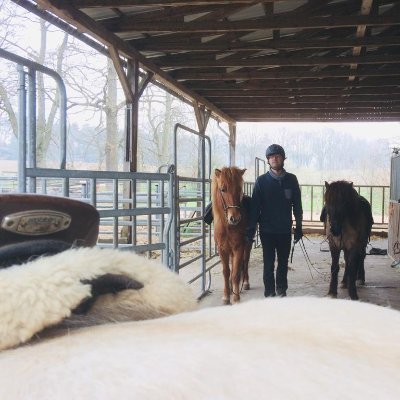 CMurschall's profile picture. Islandpferdereiter, Treckerfahrer, Segler, Softwareentwickler, Pferdehofbewohner, unbesorgter Bürger. Wohnt an der Ostsee. Data Science @ @hs_harz