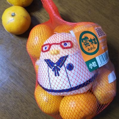 ササミさんのプロフィール画像