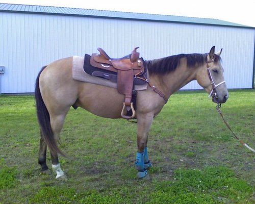 hvoltz's profile picture. Marketing professional, social media adventurer, Love fast horses, fast cars, soccer, martial arts, animals and embracing the adventure!