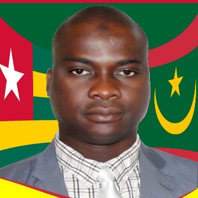 Délégué de la Mauritanie  au Haut Conseil des Togolais de l'Extérieur.
Consultant spécialiste de la finance d'entreprises. 
Directeur Financier délégué.
DESS