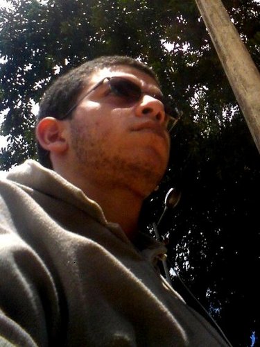 _rll's profile picture. Eu não SEI usar esse negócio.