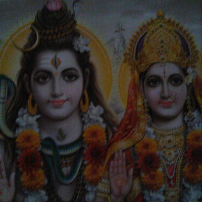 navinku83881893's profile picture. 