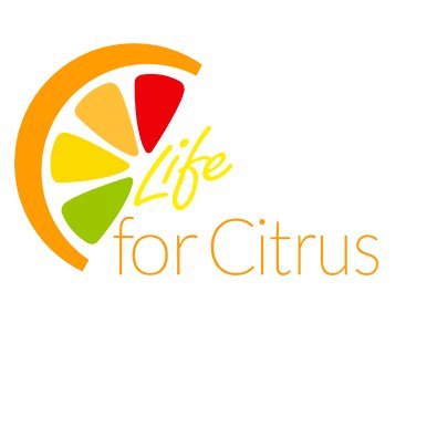 #LIFEforCitrus, el proyecto que nace para proteger al sector de los cítricos