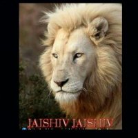 Rajesh Shivhare Jaishiv (@aveerjaishivraj) 's Twitter Profile