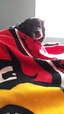 rebecca_noe's profile picture. God~Me~Animals✌🏻
Deaf~Proud💓