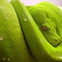 Lewis Ochoa - @lewis_elrey - Twitter