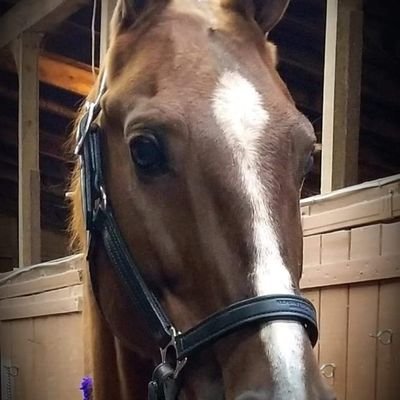 EthicsRik's profile picture. 