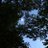 y831_moon