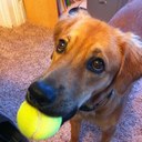 Brian Amos - @FamousBAmos - Twitter