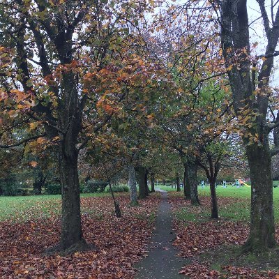 Sharing all the best things to do, see and enjoy in East Ayrshire.