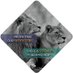 SAFLEO Program (@safleoprogram) Twitter profile photo SAFLEO Program (@safleoprogram) Twitter profile photo