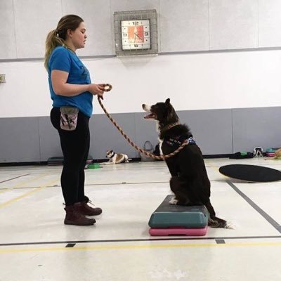 MleLowes's profile picture. don’t eat your pals 🐷🐮🐔🐣