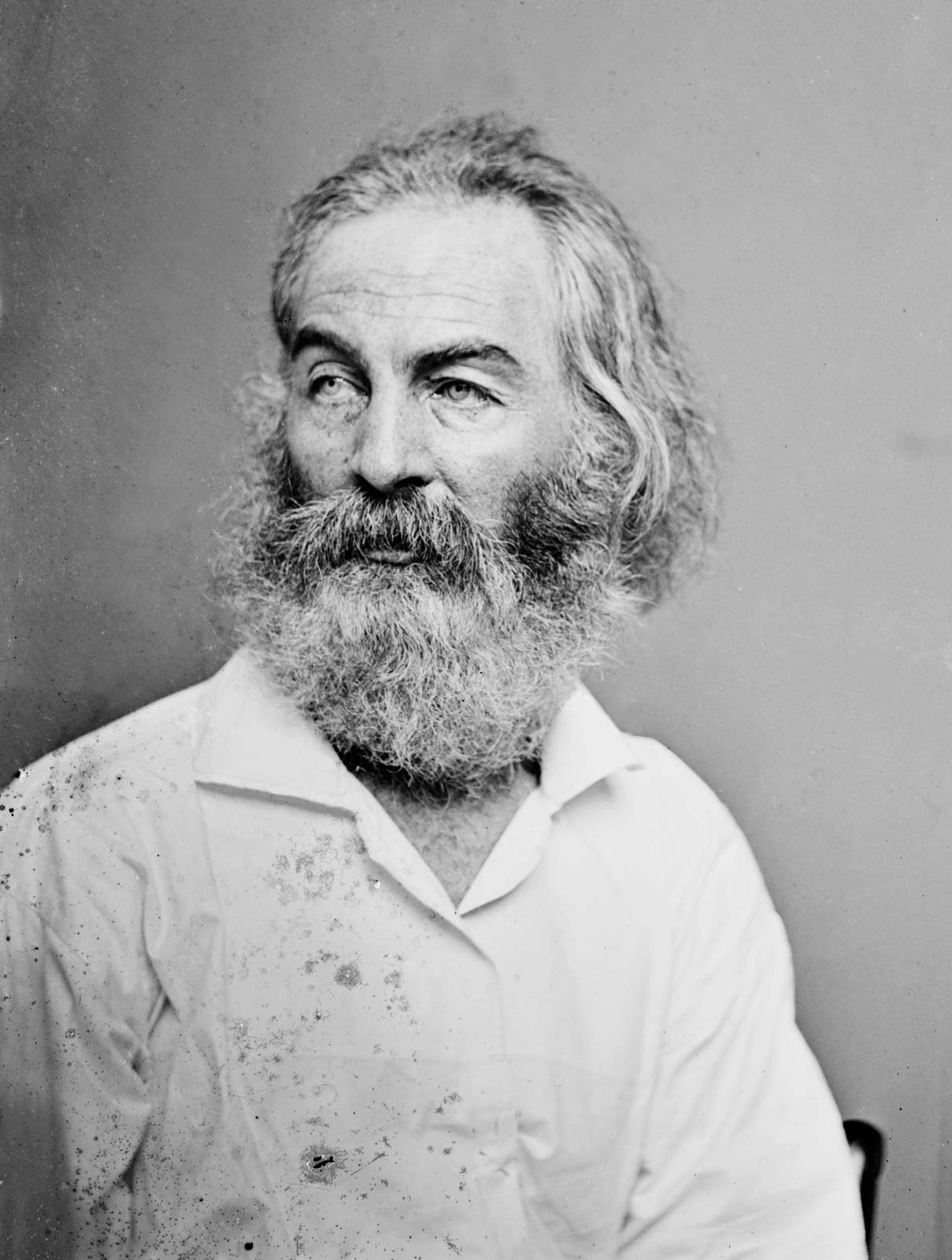 a bot that tweets out mashed up poems of walt whitman.