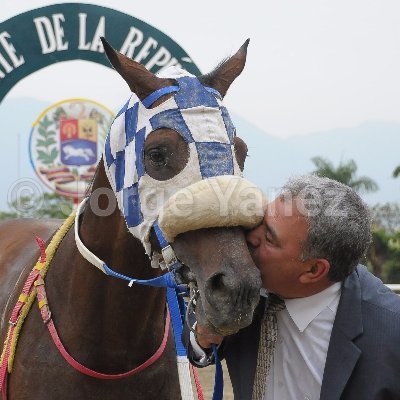 Entrenador de C.P.S.C. Hipódromo La Rinconada.