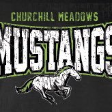 Churchill Meadows PS Profile