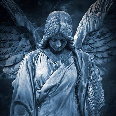 Youssef19546020's profile picture. 