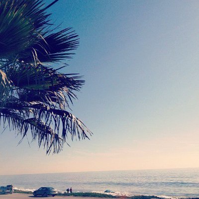 yutaendo's profile picture. startup, travel, food