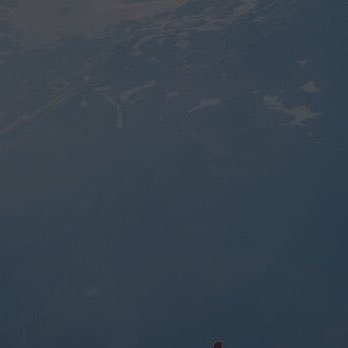 safaa5s's profile picture. 