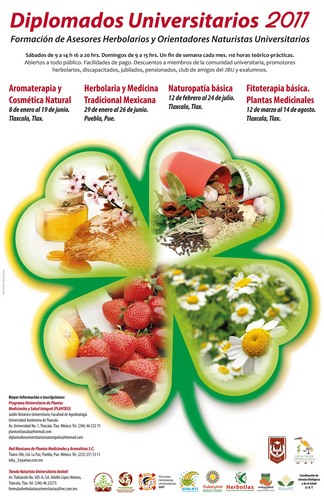 naturopatiamexi's profile picture. Desde hace 25 años promovemos la naturopatía, medicinas alternativas y complementarias. Fitoterapia. Consulta herbolaria. plantastlaxcala@hotmail.com