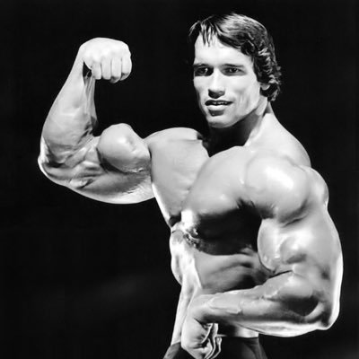 bodybuilding_of's profile picture. Just the bodybuilding champs