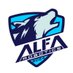 alfarobotics8084 (@alfa8084) Twitter profile photo alfarobotics8084 (@alfa8084) Twitter profile photo