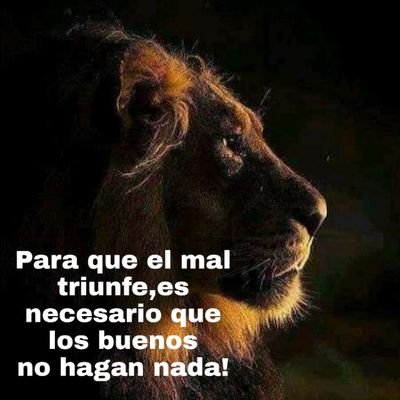 Ten cuidado con la piedra que me tires hoy,puede ser la misma con la que tropieces mañana.
Nunca,subestimes a nadie! 🇦🇷💙🇦🇷💪👍