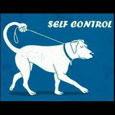 boyounstopable's profile picture. An Architect by profession,sport lover especially football and Chelsea fan.