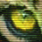polosatus's profile image