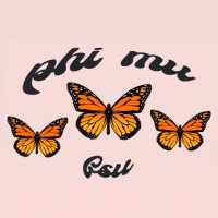 PHI MU (@phimu_fsu) 's Twitter Profile