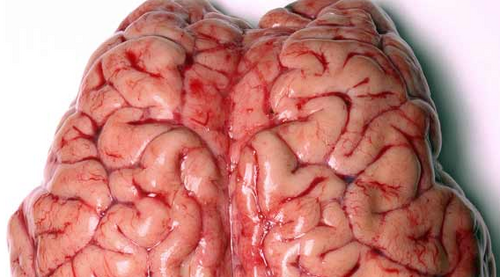 damien841's profile picture. This is my personal twitter account.  I am the creator of http://t.co/5Ht4rgwOAf, a supernatural magazine