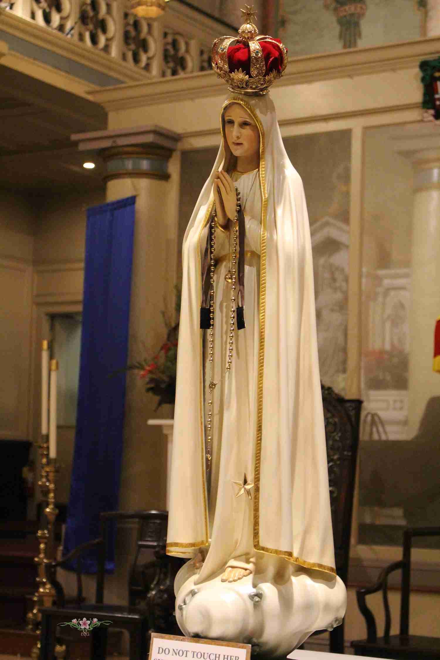 Answering Our Lady of Fatima's call to save souls through devotion to her Immaculate Heart.  Jesus I trust in You!