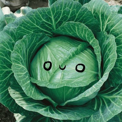 Cabbageさんのプロフィール画像