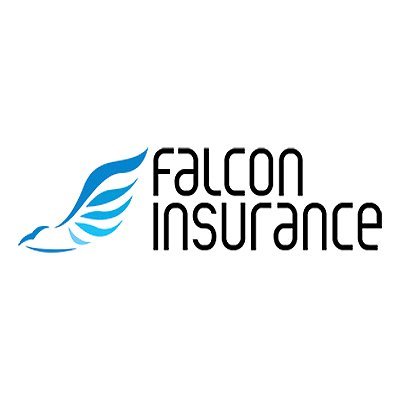 Falcon Insurance Company San Antonio Tx