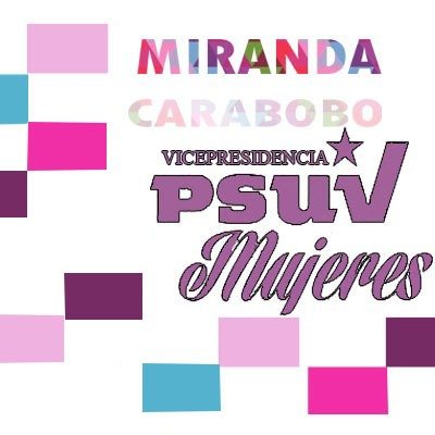 La principal tarea de la Vicepresidencia de Mujeres del PSUV es mantener el legado del Comandante Hugo Chávez.