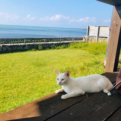 GPA5Dzvem3R7QrP's profile picture. 