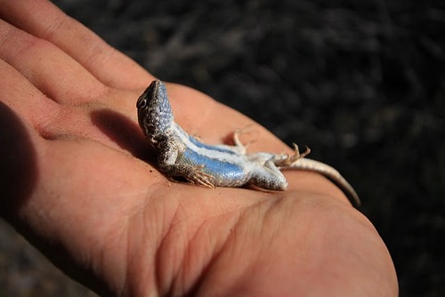 EdenGal7's profile picture. 