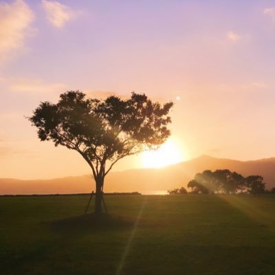 hiii_86's profile picture. 