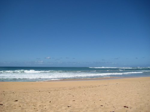 JimiChes's profile picture. 