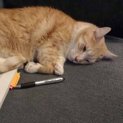 CodeKatha's profile picture. In October 2019 I started studying Computer Science - or 'Informatik' as it's called in German. Here I will show my progress and follow inspiring people 😊