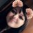 emileecaa's profile image