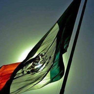 Mexiquense, preocupado por la situación de nuestro país, anti-gobiernos corruptos y anti-politicos que solo quieren enriquecerse del erario público.