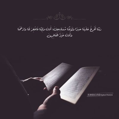 osamaelzorkany's profile picture. 