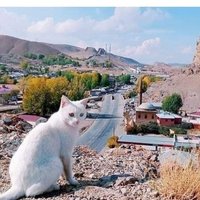T.C. Ufuk BEDİR (@ufuk6571) 's Twitter Profile
