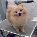 Canny Chan - @chancanny - Twitter