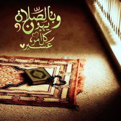 samehat16213084's profile picture. 