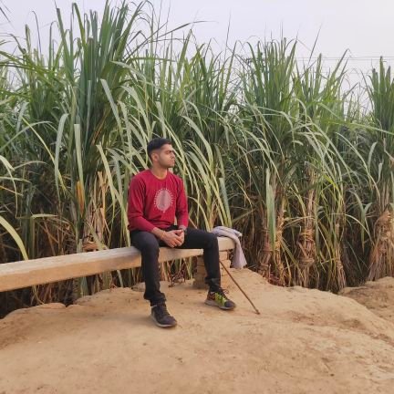 ChiragSirohi3's profile picture. Doctor
LLRM meerut