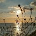 Sharon witham (@sharonwitham1) Twitter profile photo Sharon witham (@sharonwitham1) Twitter profile photo