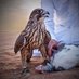 البقممي ♡' (@9f24nhe9yniuq7y) Twitter profile photo البقممي ♡' (@9f24nhe9yniuq7y) Twitter profile photo